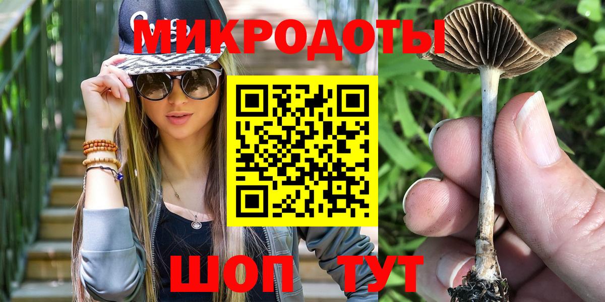 Галлюциногенные грибы GOLDEN TEACHER  Вход с VPN  Кострома  Галлюциногенные грибы Psilocybe 