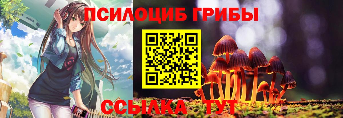 Псилоцибиновые грибы прущие грибы Кострома